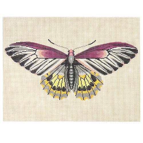 Moth - Magenta/Green/Yellow
