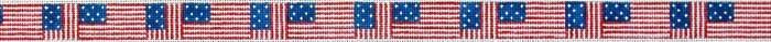 American Flag Repeated Belt on 14