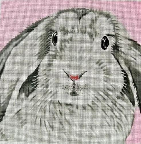 Floppy Ear Bunny on Pink