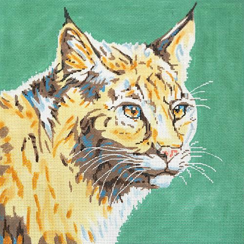 Wildcat