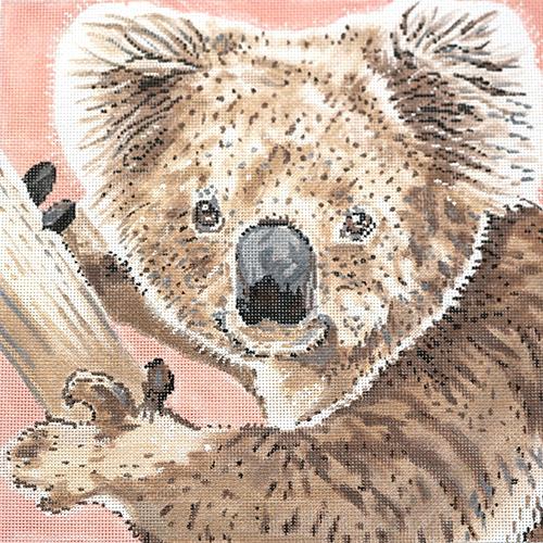 Koala