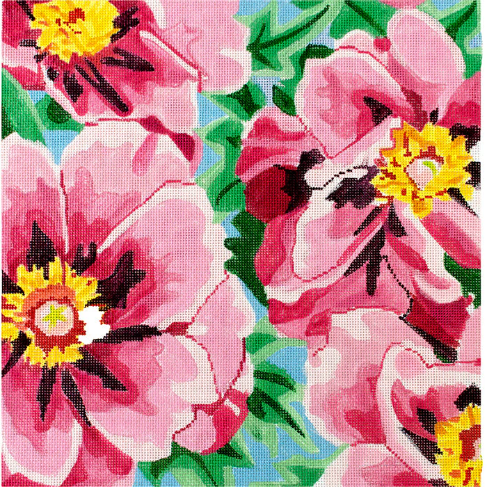 Tree Peony - Duchess