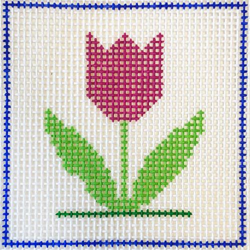 Tulip Beginner Kit