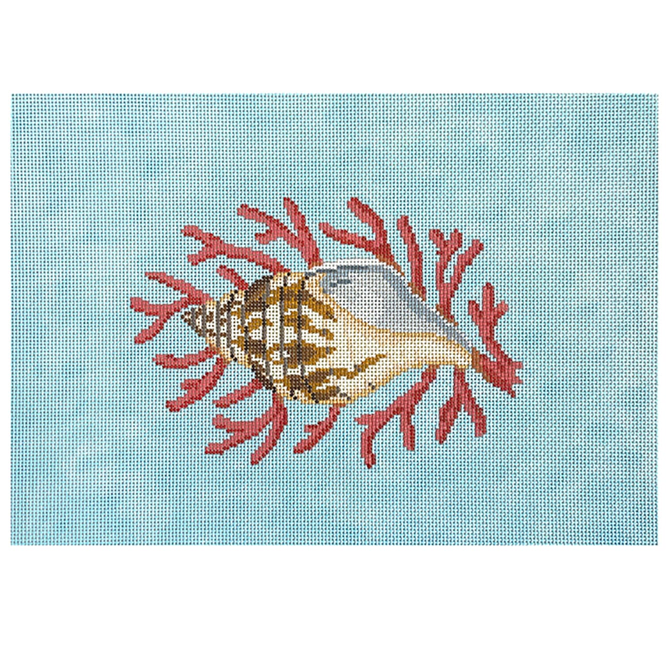 Tulip Shell with Coral on 13